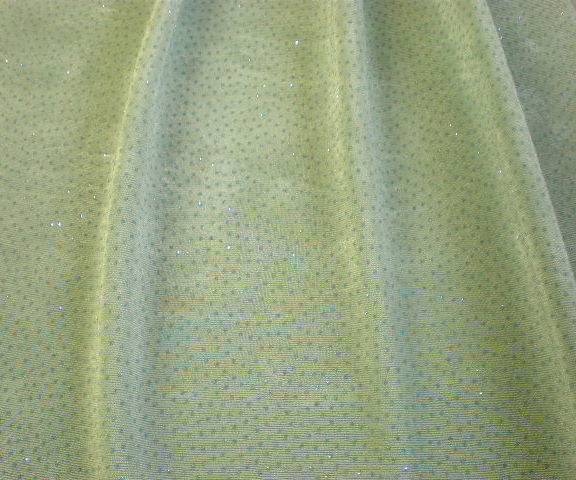 4.Pale Mint Green-Silver Glitter Slinky #2